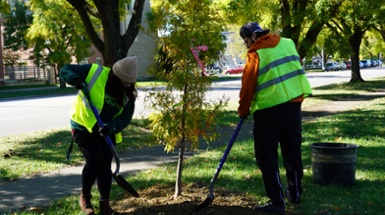 Let's Grow Local 2025