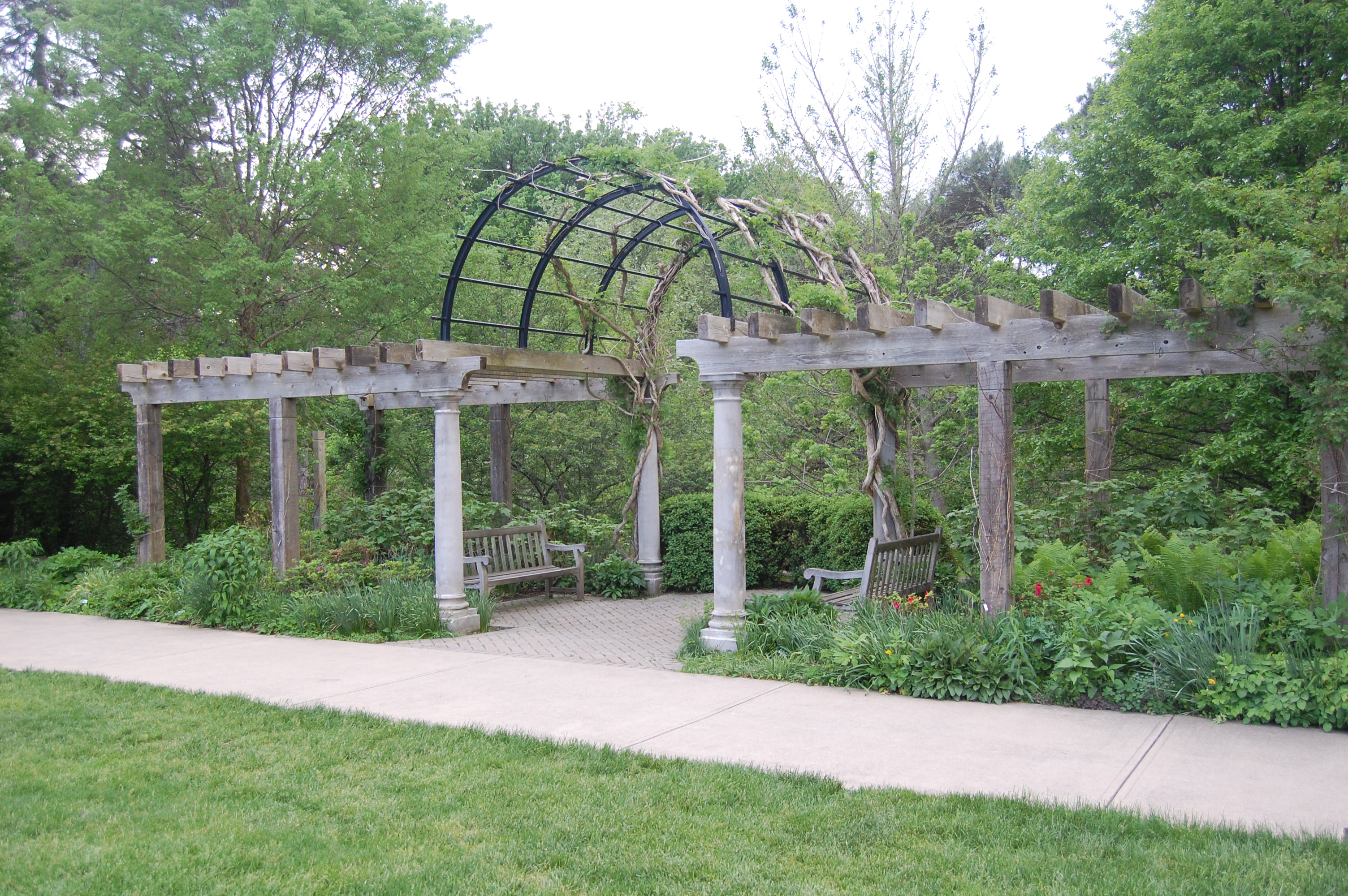 History of Ault Park's Rose Garden - Cincinnati Parks