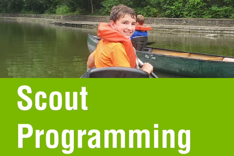 Scout Programming