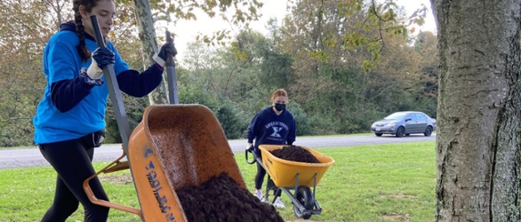 Volunteers Mulching Trees at Mt. Airy Forest