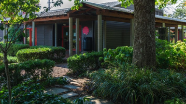 Restoring Hauck Botanical Gardens – Collaboration with Civic Garden Center