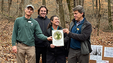 California Woods inducted into the Old-Growth Forest Network