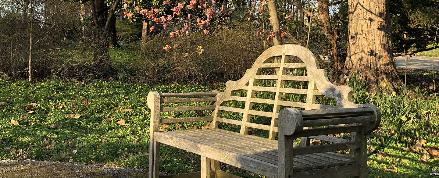 Sitting Area In Hauck Botanical Garden