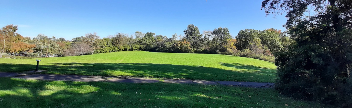 Open Field at Miles-Edwards Park