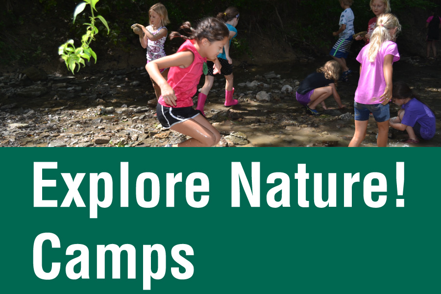 Explore Nature Camps