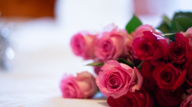 Tips and Tricks for Keeping Those Roses Fresh