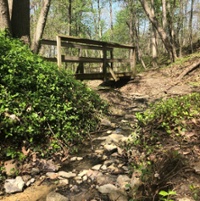 Avon Woods Nature Preserve and Center