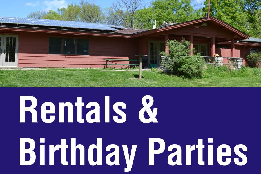 Rentals and Birthday Parties