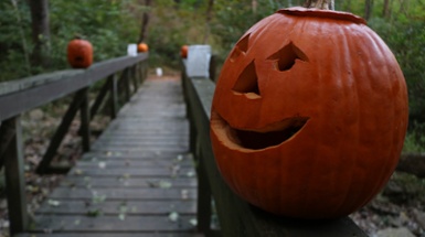 Cincy Parks Halloween Events