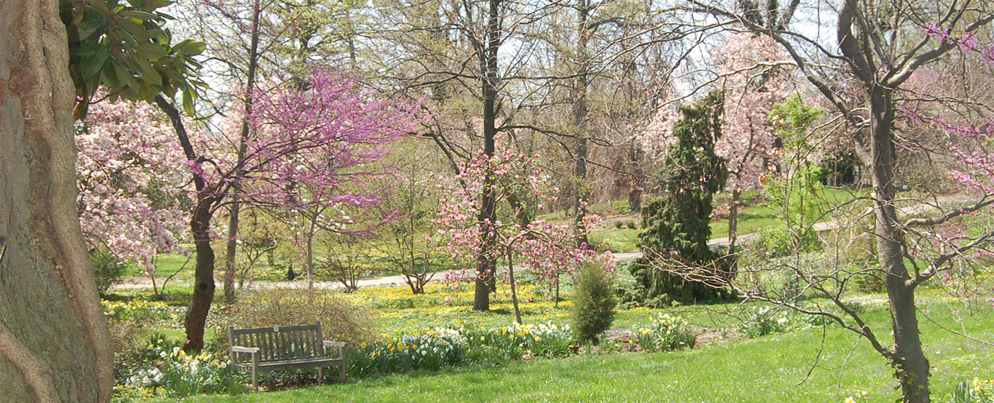 Hauck Botanical Garden In Spring