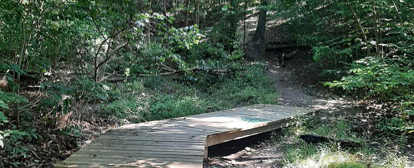 Bridge On Hiking Trail at Parkers Woods
