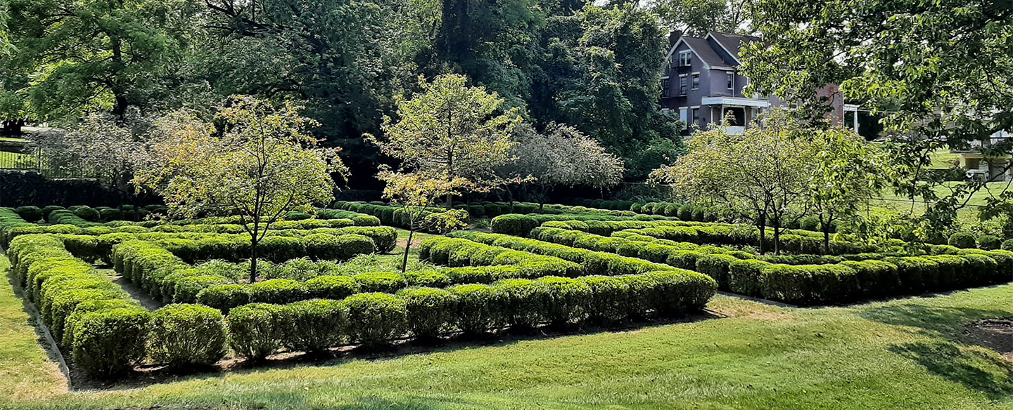 Hedge Maze At Fleishmann Gardens