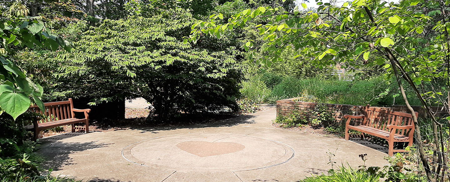 Bettman Nature Preserve Seating Area