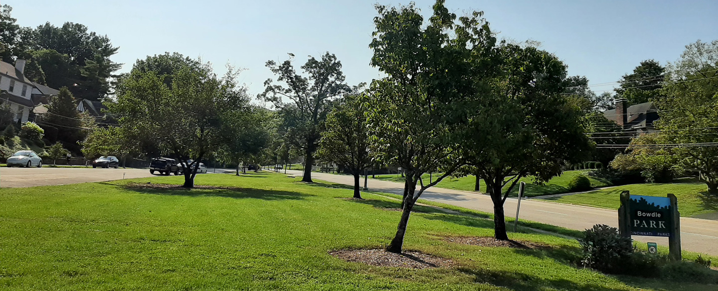 Bowdle Park Lawn and Trees