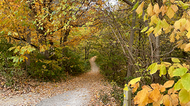 Valley Trail at Ault Park Closed Beginning Oct. 24 for Sewer Repair