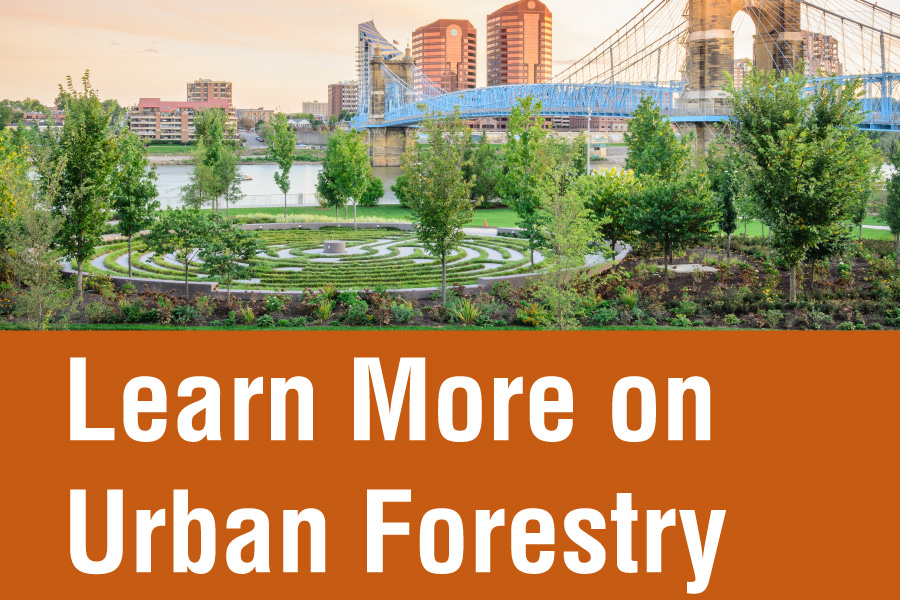 Cincinnati's Urban Forest