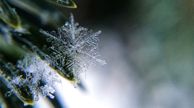 The Beauty of a Snowflake