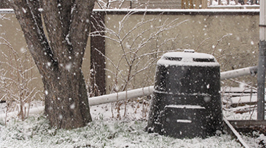 Winter Composting