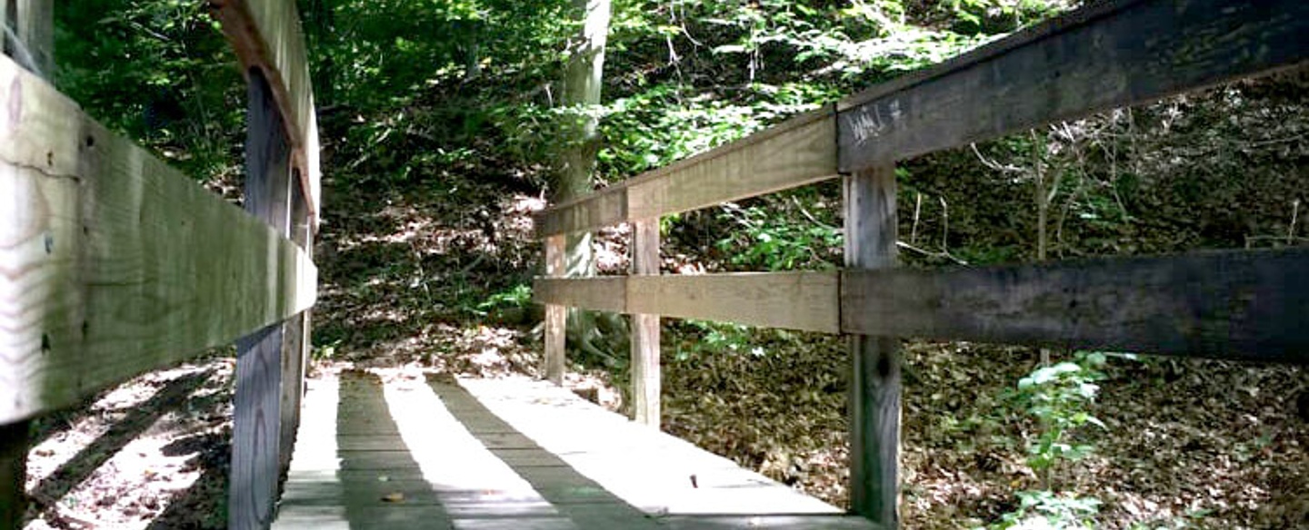 Hiking Trail At Buttercup Valley Preserve