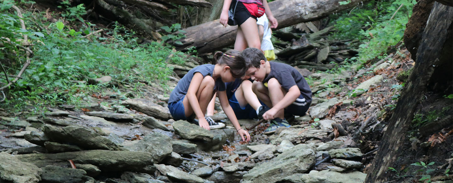 Nature Education Creek Walks By Explore Nature At LaBoiteaux Woods Nature Preserve