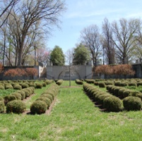 Fleischmann Garden