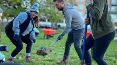 Cincinnati Parks & MadTree Brewing Planting Trees With A Purpose