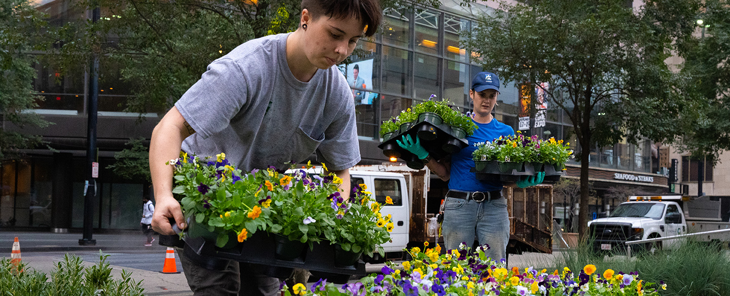 Greenspace Team Plants at Fountain Square