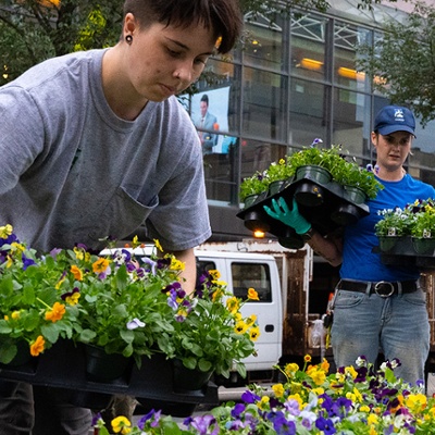 Greenspace Team Plants at Fountain Square