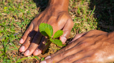 GCP Seeds of Change Grants $196,769 to Grassroots Nonprofits