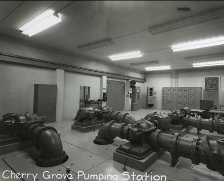 Cherry Grove Pumps